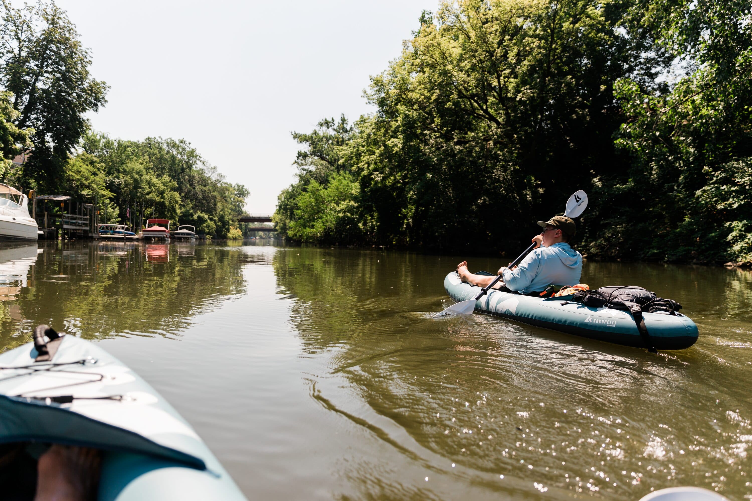 Dense tree canopy arching over the river