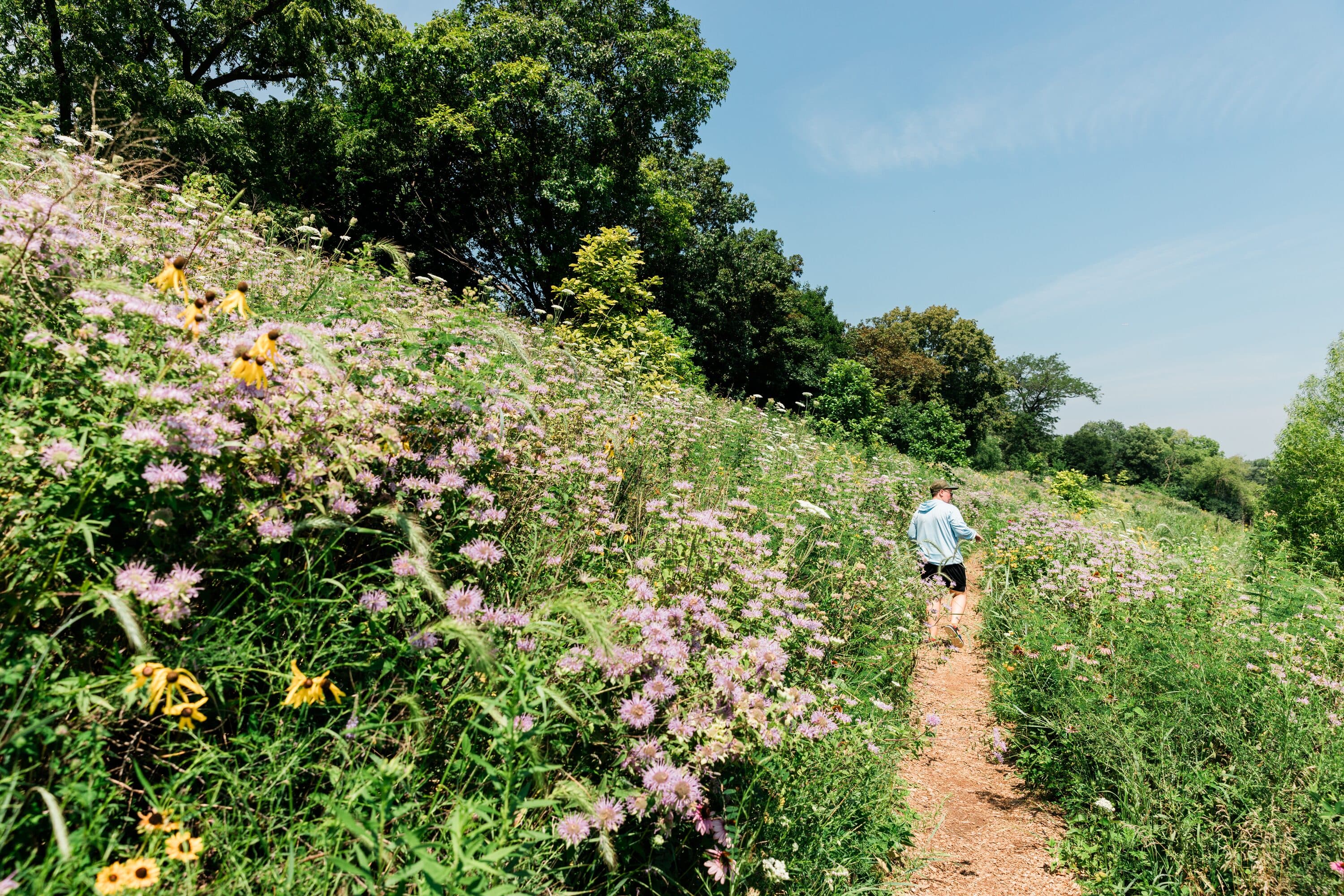 Kayaker paddling through a tunnel of green
